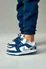 Кроссовки SB Dunk Low "Born x Raised"