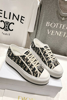 Женские кроссовки Walk'n'Dior Oblique motif