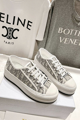 Женские кроссовки Walk'n'Dior Oblique motif