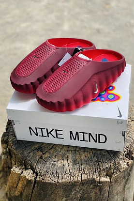 Слайды Mind 001 Mules - Team Red