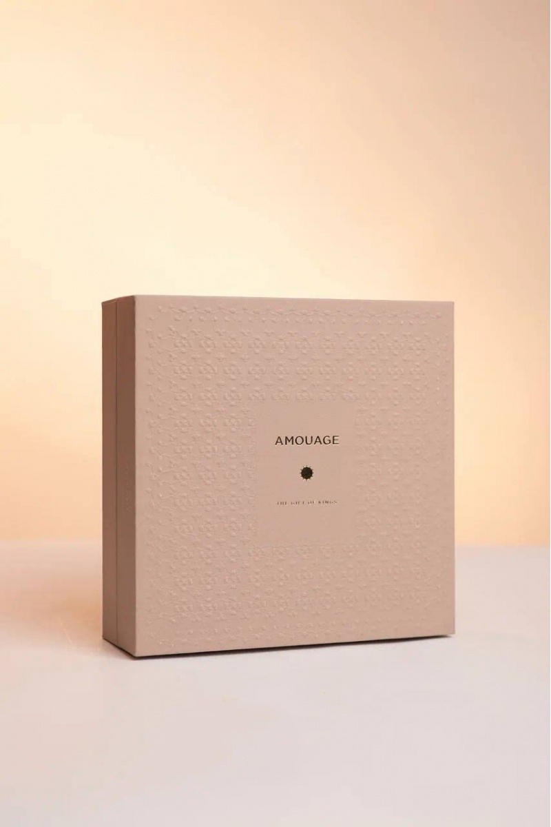 Designer Clothing Парфюмерная вода Amouage Guidance (100 мл)