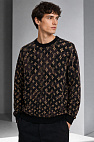 Мужская кофта коричневого цвета monogram all-over