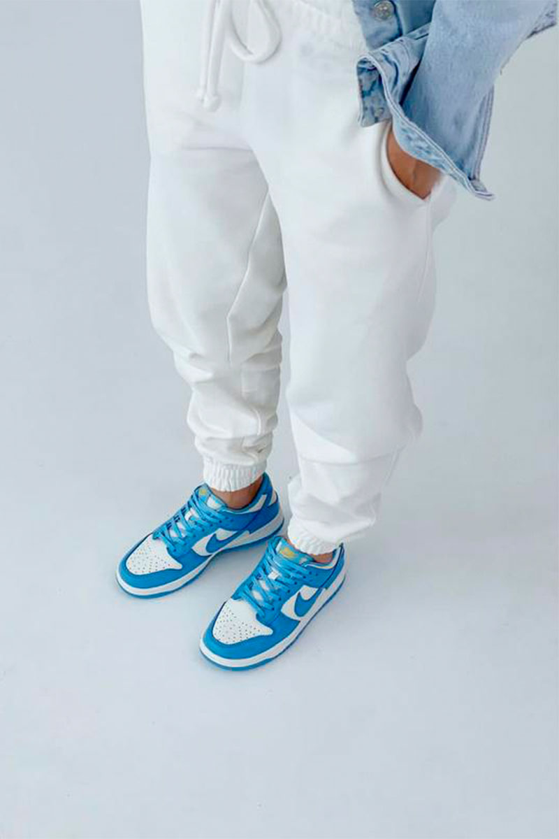 Nike Кроссовки SB Dunk Low - Blue / White
