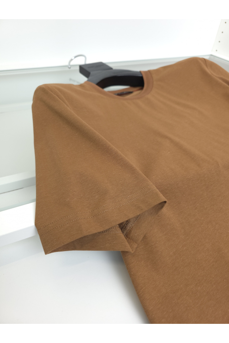 Loro Piana Мужская коричневая футболка premium