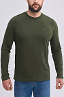 Мужской лонгслив зелёного цвета 