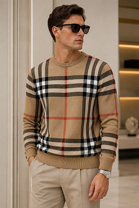 Мужская бежевая кофта check pattern