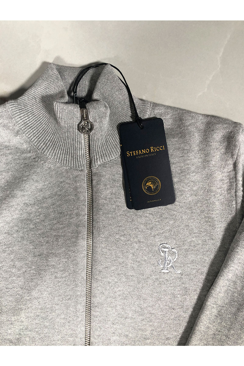 Stеfаnо Riссi Мужская светло-серая кофта на молнии logo-embroidered