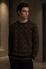 Классический джемпер Monogram all over - Brown / Beige