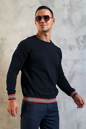 Мужской джемпер TB logo embroidered - Navy