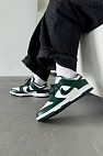 Кроссовки Dunk Low - Green Michigan