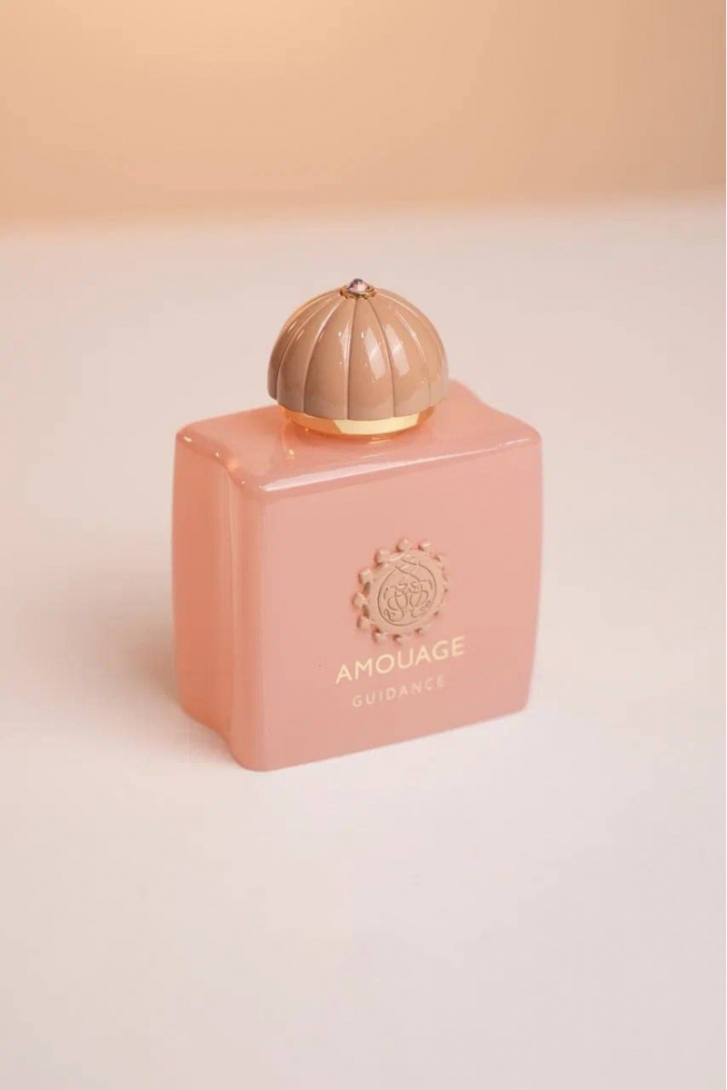 Designer Clothing Парфюмерная вода Amouage Guidance (100 мл)